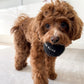 Classic Tennis Ball Set of 5 - Noir
