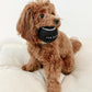 Classic Tennis Ball Set of 5 - Noir