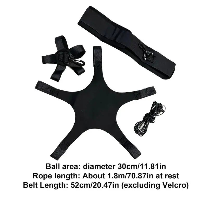 Volleyball Spiking Trainer & Rebounder System