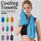 Portable Cooling Towel with Silicone Case – Quick-Dry Sports Towel